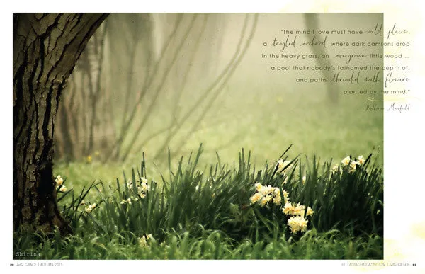 Stampington Bella Grace Issue 5 blad digitalt livsstil