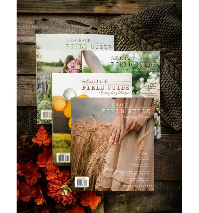 Stampington Field Guide abonnement 4 nummer hverdagsmagi