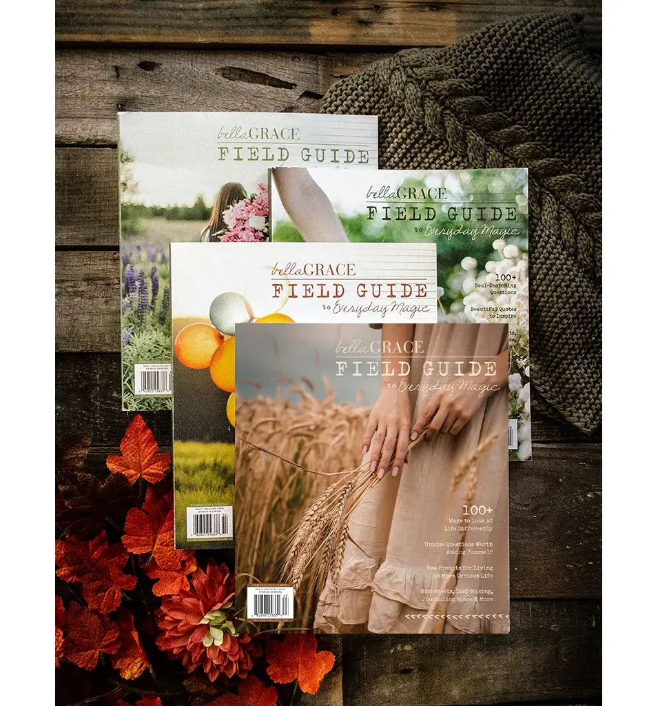 Stampington Field Guide abonnement 4 nummer hverdagsmagi