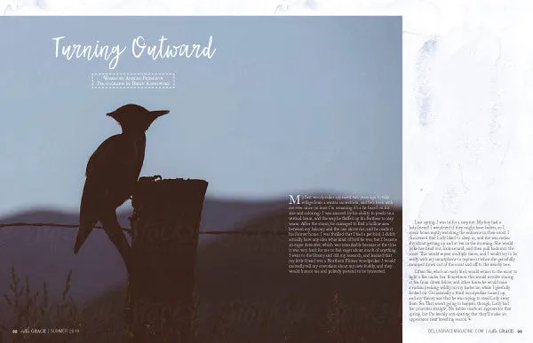 Stampington Bella Grace Issue 20 blad 160 sider livsglede