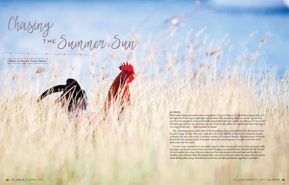 Stampington Bella Grace Issue 24 digitalt blad PDF