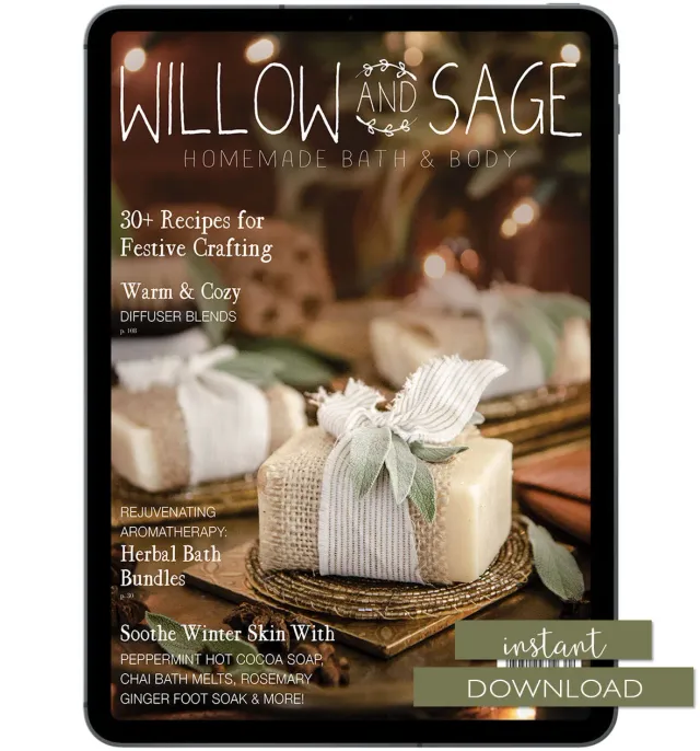 Stampington Willow and Sage Winter 2023 blad PDF vinterutgave