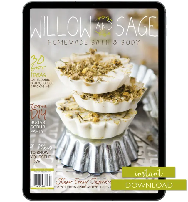 Stampington Willow and Sage Winter 2016 blad digitalutgave hudpleie