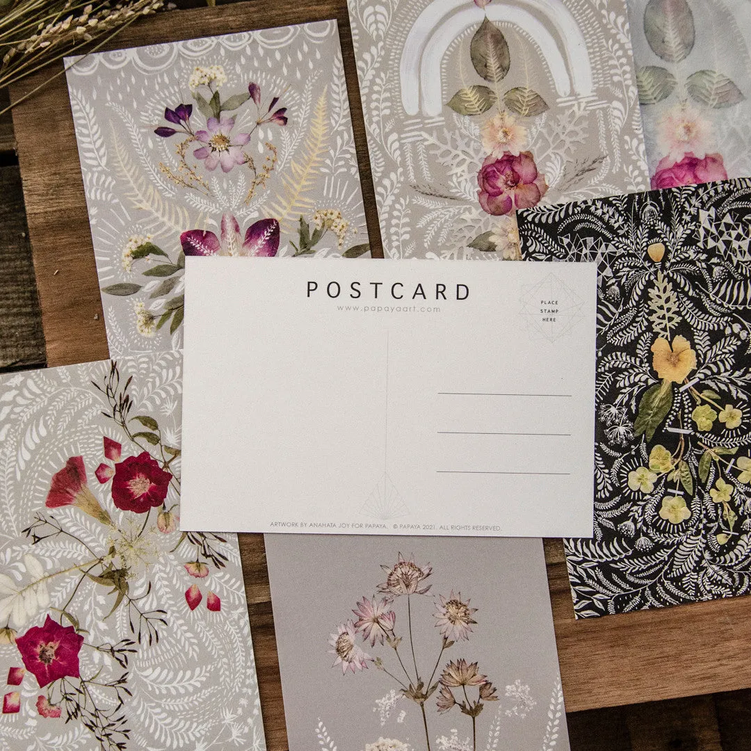 Papaya Altar Lace postkortsett 6 kort gavepose