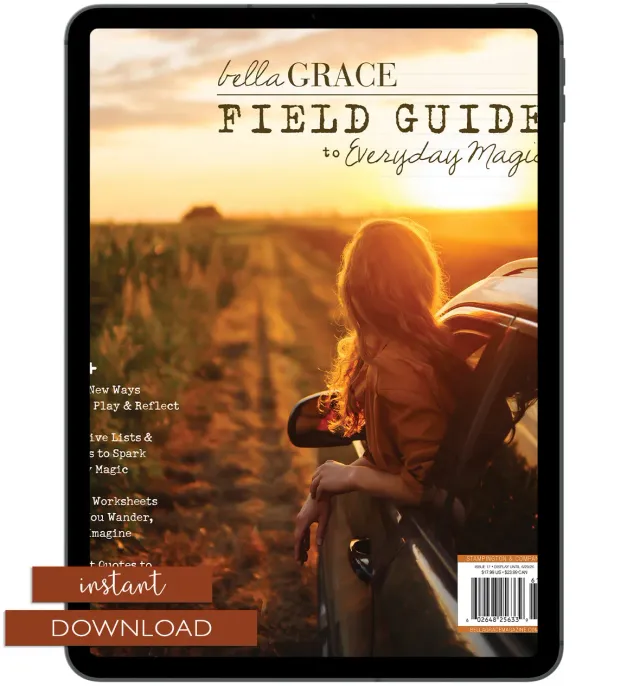 Field Guide to Everyday Magic Issue 17 arbeidsbok PDF