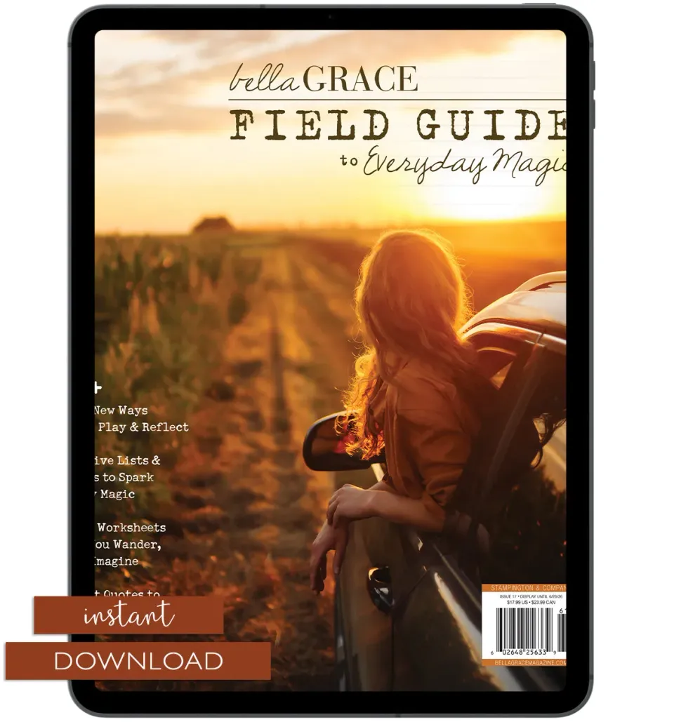 Field Guide to Everyday Magic Issue 17 arbeidsbok PDF