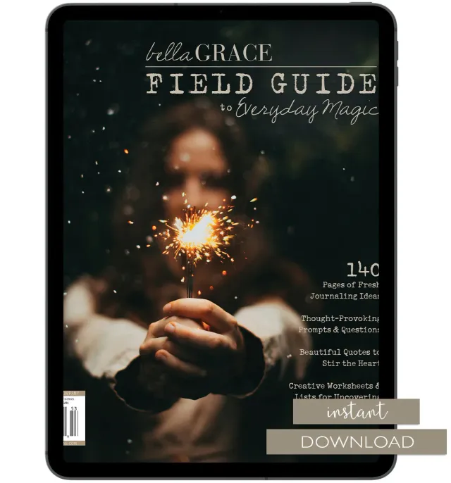 Stampington Field Guide 16 arbeidsbok PDF mindfulness