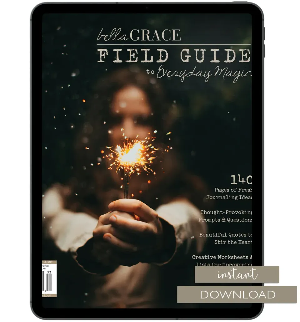 Stampington Field Guide 16 arbeidsbok PDF mindfulness