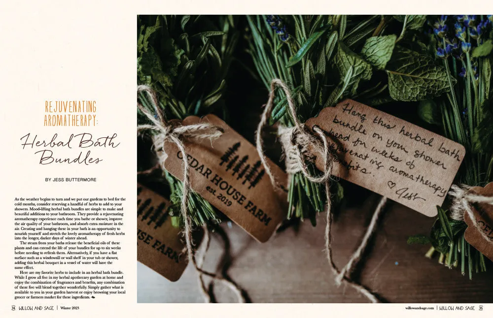 Stampington Willow and Sage Winter 2023 blad digital gaver