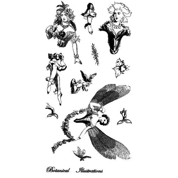 Stampington Sandra Evertson Botanical Illustrations stempelsett