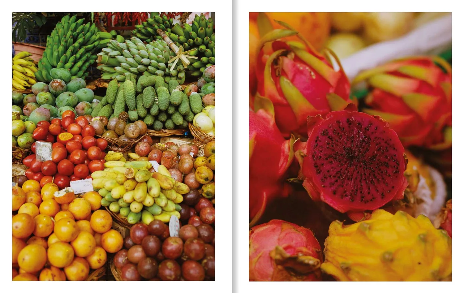 Apartamento Madeira Recipes kokebok – Wanderings