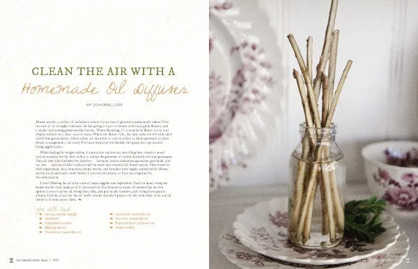 Stampington Natural Home Issue Volume 1 blad PDF-nedlasting