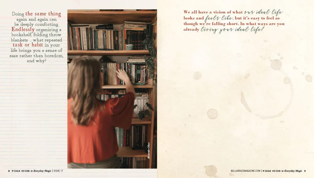 Field Guide to Everyday Magic Issue 17 arbeidsbok PDF