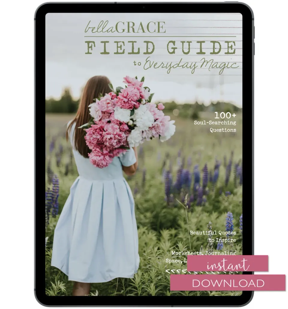 Stampington Field Guide Everyday Magic 3 PDF-arbeidsbok hverdagsglede