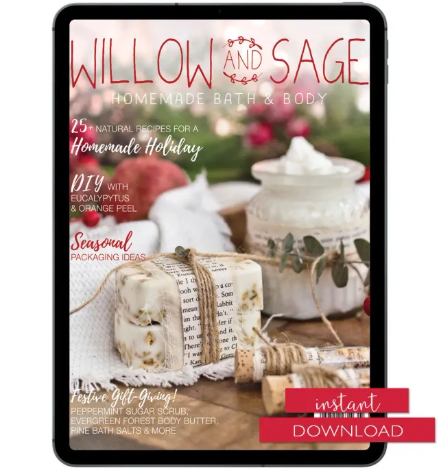 Stampington Willow and Sage vinter 2020 blad digital egenpleie