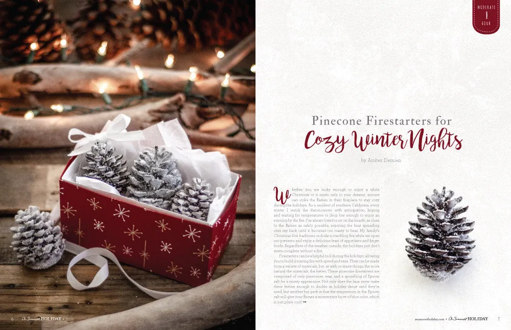 A Somerset Holiday Volume 14 digitalt blad jul