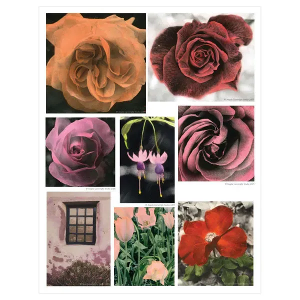 Stampington Cottage Garden Transparency 3 hobbyark Angela Cartwright