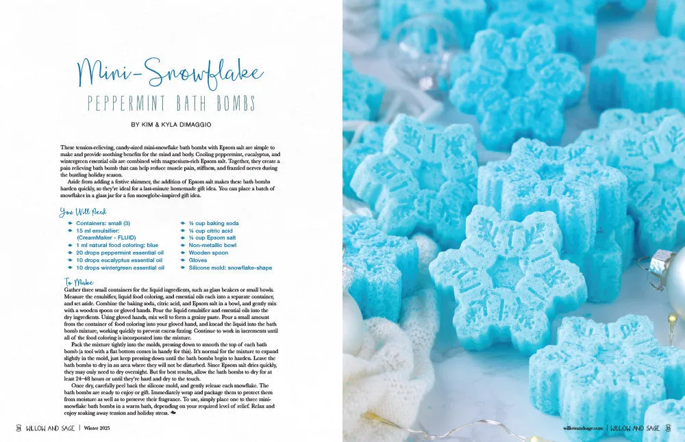 Stampington Willow and Sage Winter 2025 e-blad PDF