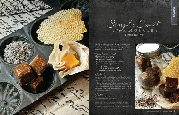 Stampington Willow and Sage Spring 2017 blad PDF 144 sider egenpleie