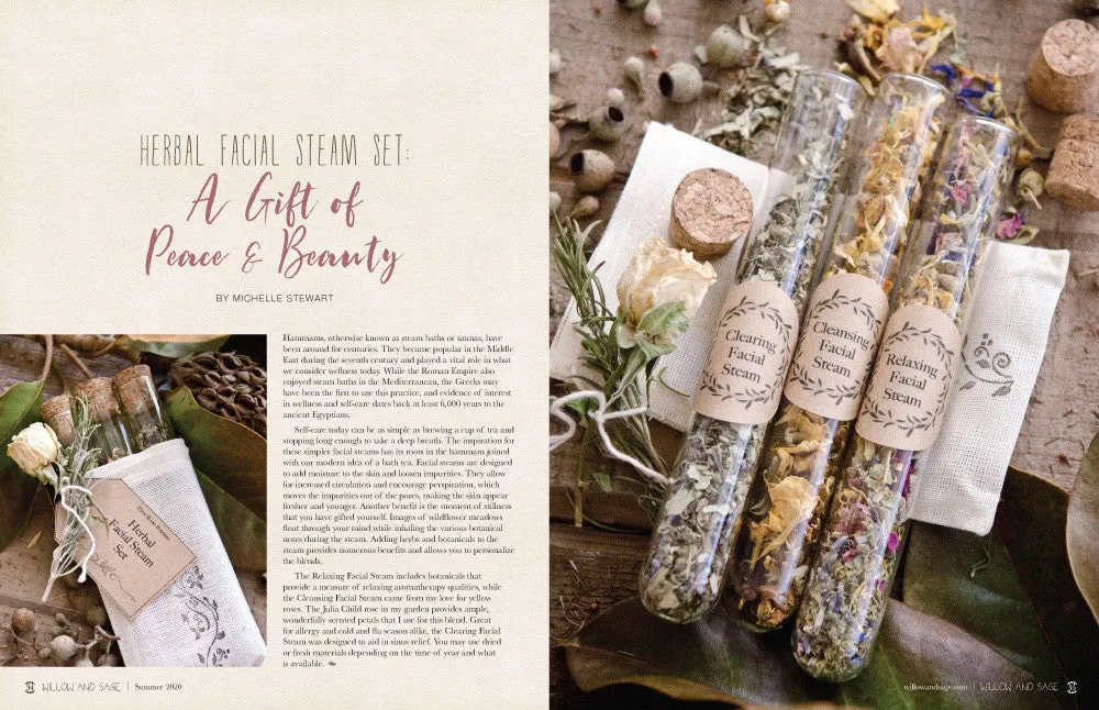 Stampington Willow and Sage Summer 2020 e-blad PDF