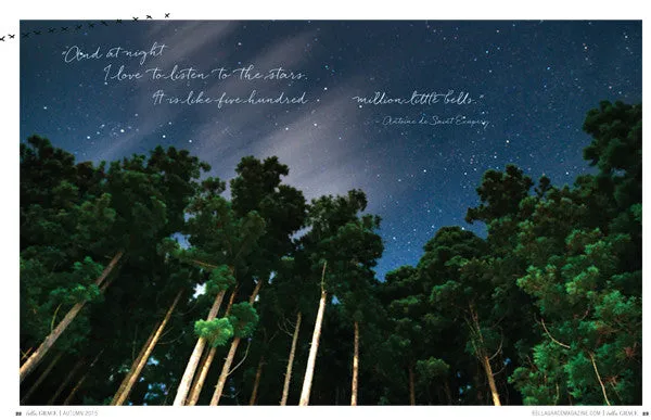 Stampington Bella Grace Issue 5 blad digitalt livsstil