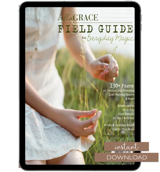 Stampington Field Guide Everyday Magic Issue 11 skrivebok PDF nedlasting