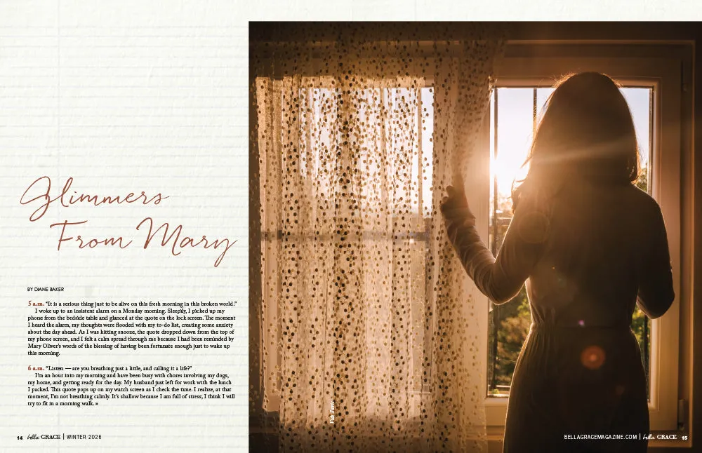Stampington Bella Grace 46 blad magi i hverdagen