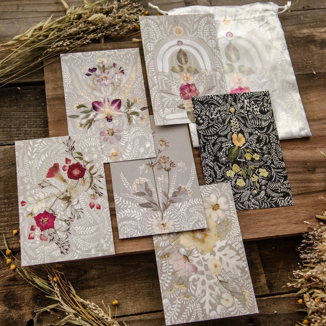 Papaya Altar Lace postkortsett 6 kort gavepose
