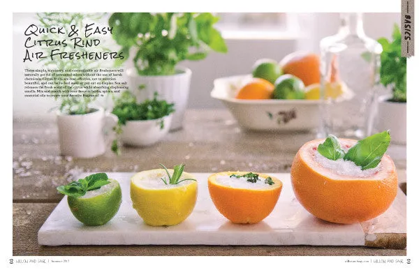 Stampington Willow and Sage Summer 2017 blad digital sommerpleie