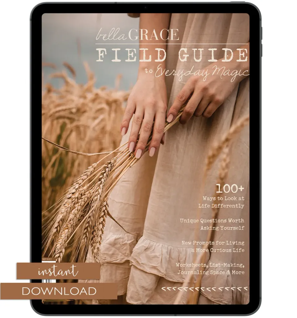 Stampington Field Guide blad nr 18 nedlasting PDF 144 sider